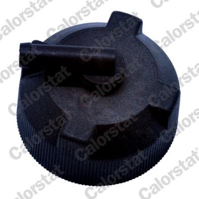 YEDEK SU DEPO KAPAĞI (GENLEŞME ŞİŞESİ) BOXER-JUMPER-DOBLO-FIORINO-LINEA-GRANDE PUNTO-500-BRAVO - VERNET - OEM 1306.E7