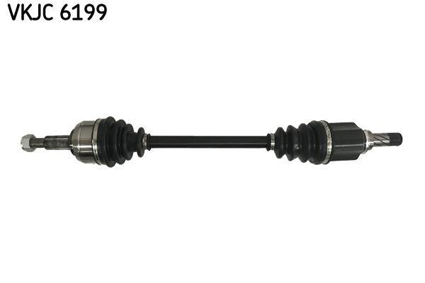 RULMAN VKJC 6199 - SKF