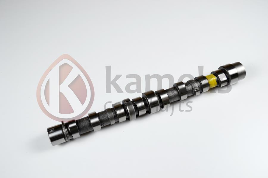 EKSANTRİK MİLİ EMME BIPPER 10> NEMO 10>DOBLO - OP - OEM 55206897