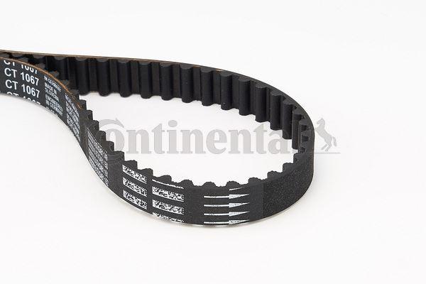 TRİGER KAYISI PEUGEOT BIPPER 07> P 206 06> P207 08> P 306 04> PARTNER 02> CITROEN NEMO 07> XSARA 01>BERLİNGO 02> C3 II 10> 1.4 FIAT FIORINO 07> G:17 MM DİŞ:104 - CONTI - OEM 0816.F2