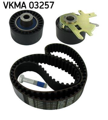 EKSANTRİK GERGİ KİTİ C4-C5-JUMPY-SCUDO-CMAX-FOCUS II-MONDEO-SMAX-P307-P308-P407-EXPERT 2.0 HDI - SKF - OEM 0516.60