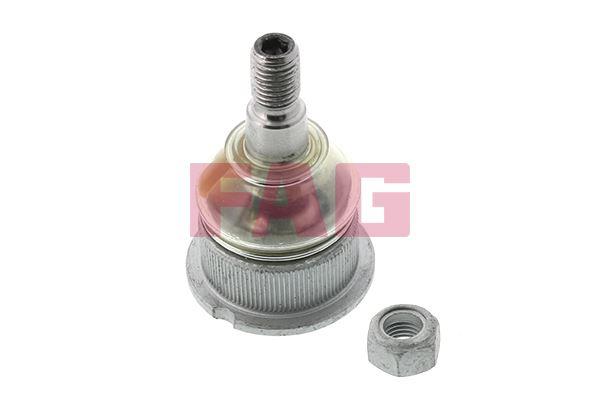 RULMAN — FAG 825004510 - FAG - OEM 31121126254