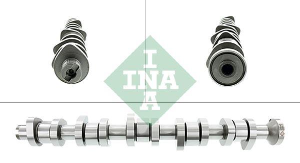 EKSANTRIK MILI VOLKSWAGEN MULTIVAN V 7HM 7HN 7HF 7EF 7EM 7EN TOUAREG 7LA 7L6 7L7 TRANSPORTER V 7HB 7HJ 7EB 7EJ 7HA 7HH 7EA 7EH 7JD 7JE 7JL 7JY 7JZ 7FD - INA - OEM 070109101P