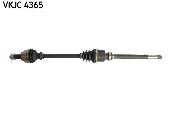RULMAN VKJC 4365 - SKF