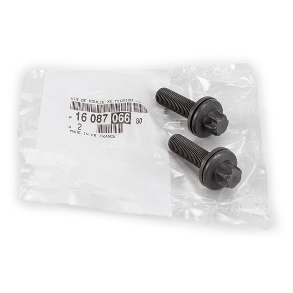 MUHTELIF VIDA. CIVATA M10 - PSA - OEM 1608706680
