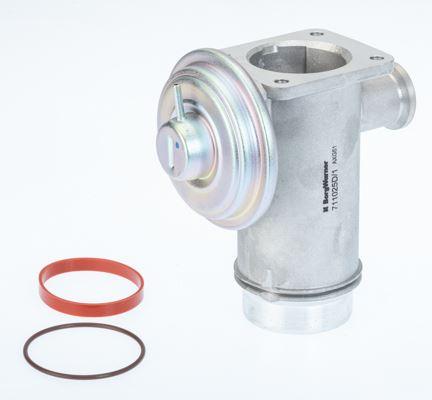 EGR VALFI BMW M47N2 M57N2 E87 E90 E91 E92 E93 E60 E61 E65 E66 E83 E70 E71 - BORGWARNER - OEM 11717804381