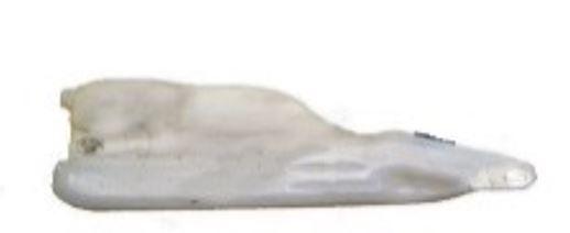 SU DEPOSU BORUSUZ FLUENCE-SCENIC III -MEGANE III - WPI - OEM 289108100R