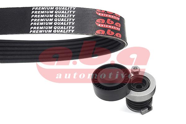 KANALLI V KAYIŞ SETİ DACIA DUSTER 1.5 dCi 110-1.5 dCi 110 4x4-1.5 dCi-1.5 dCi 4x4 10=> - ABA - OEM 117201925R