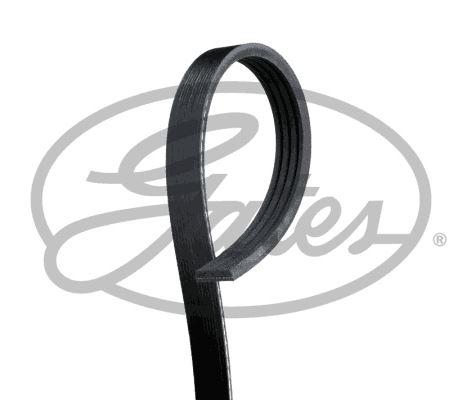 KANALLI KAYIS ROVER ALFA HYUNDAI SUZUKI 48346 - GATES - OEM 60575209