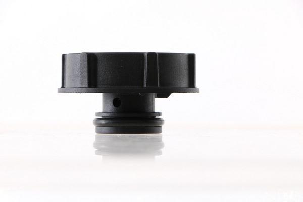 YEDEK SU DEPO KAPAGI FREELANDER 2 L359 R.R EVOQUE L538 L551 JAGUAR E-PACE (X540) FORD B-MAX C-MAX FIESTA FOCUS GALAXY KUGA MONDEO VOLVO S40 S60 S80 S90 C70 C30 - MAHLE - OEM DG938101AA