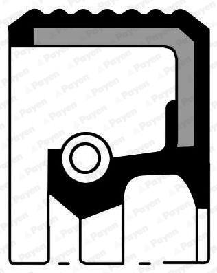KRANK MİL KEÇESİ RENAULT CLIO-FLUENCE-KANGOO-LAGUNA-MEGANE-MODUS-SCENIC-DUSTER-LOGAN-SANDERO 1.5 DCİ (35x47x7) (8200166466) - PAYEN - OEM 7701475009