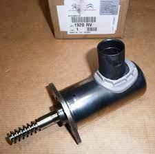EKSANTRİK AKSİYONERİ - PSA - OEM 1920.RV