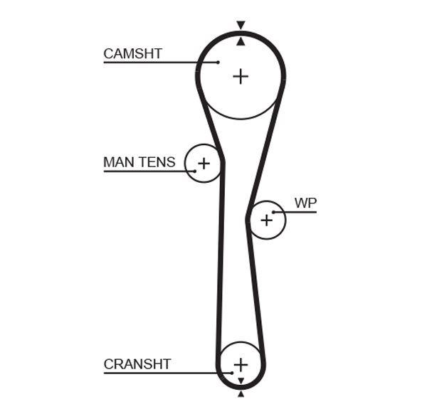 TRİGER KAYIŞI (095x234) RENAULT CLIO KANGO MODUS TWINGO 1.2 16V DACIA SANDERO NISSAN 1.2 CT1045 - GATES - OEM 8200035834