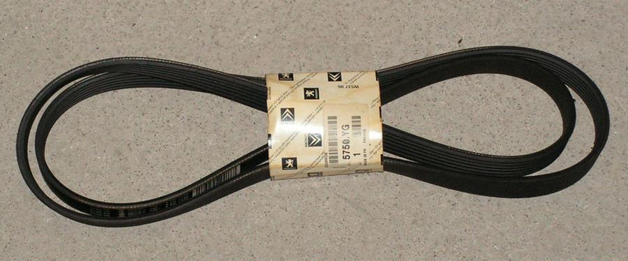 KANALLI KAYIŞ MGN 1.6-1.8-2.0 16V 00=> BERLINGO 99=> C5 (01-04) P306 (98-01) P406 (96-04) - PSA - OEM 7700107175