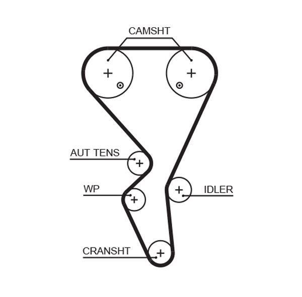 TRİGER KAYIŞI (134x254) 134 DİŞ P206-P307 1.6 PARTNER 1.6 00=> CT1065 - GATES - OEM 0816.E0