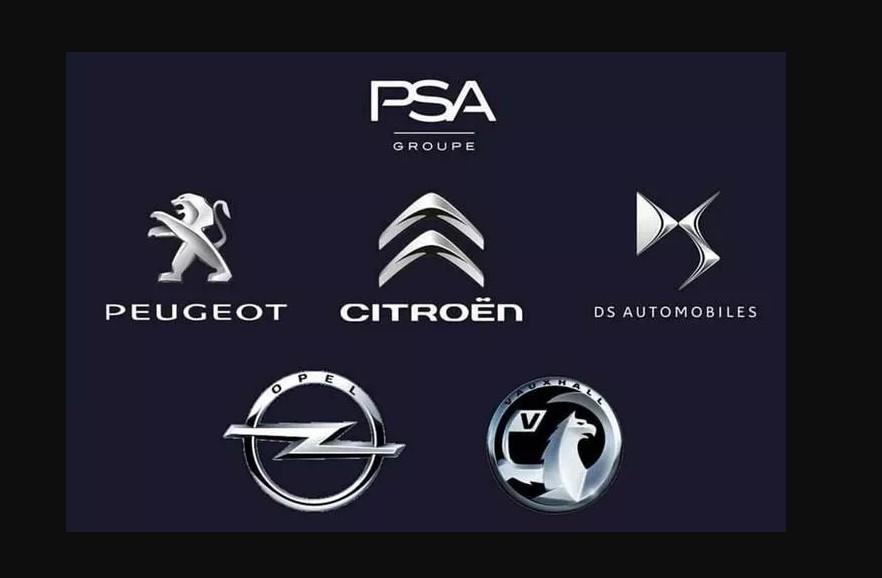 KAPI FİTİLİ PEUGEOT — PSA 9825966380 - PSA