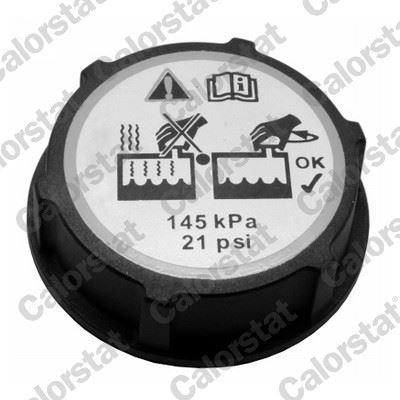YEDEK SU DEPO KAPAGI FREELANDER 2 L359 R.R EVOQUE L538 L551 JAGUAR E-PACE (X540) FORD B-MAX C-MAX FIESTA FOCUS GALAXY KUGA MONDEO VOLVO S40 S60 S80 S90 C70 C30 - VERNET - OEM DG938101AA